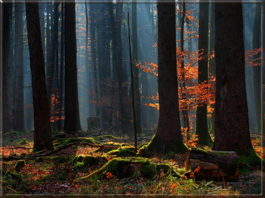42406 (a): :1600x1200